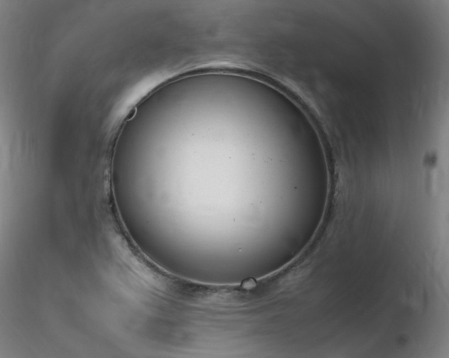 X0000116821367200912181358