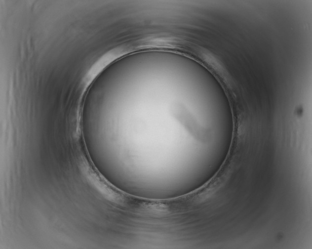 X0000116821370200912181358