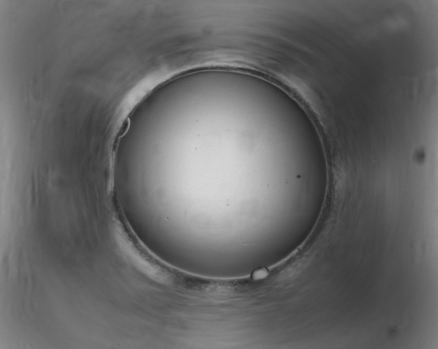 X0000116821371200912181358