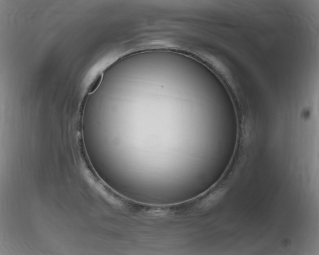 X0000116821373200912181358