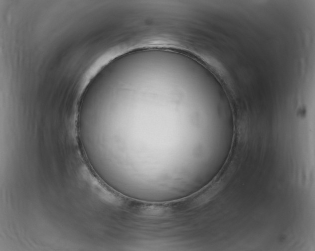 X0000116821374200912181358