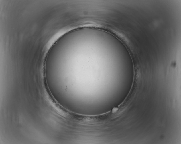 X0000116821375200912181358