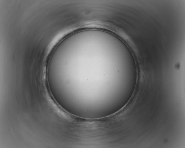 X0000116821376200912181358