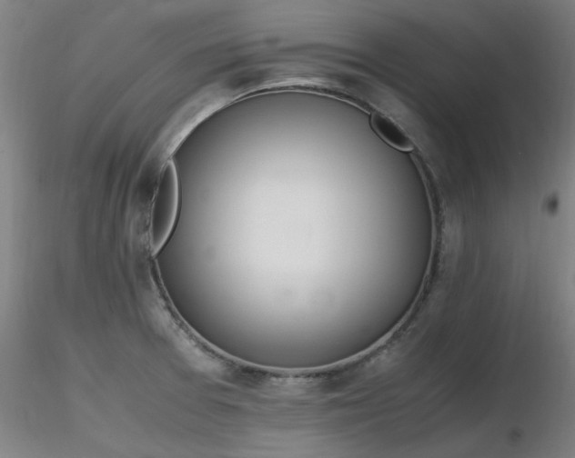 X0000116821377200912181358