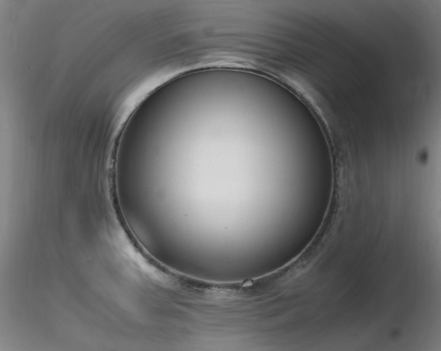 X0000116821379200912181358