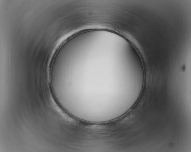 X0000116821380200912181358