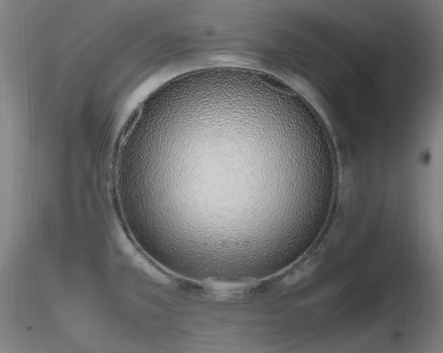 X0000116821381200912181358