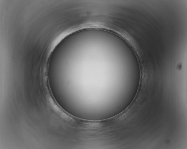 X0000116821382200912181358