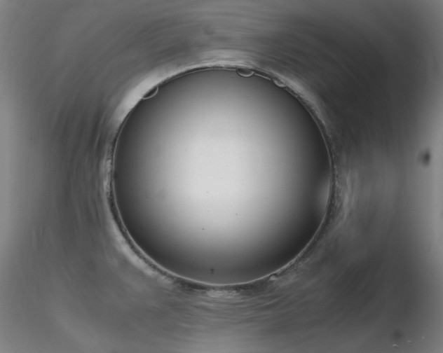 X0000116821383200912181357