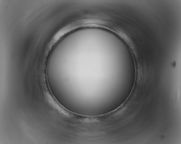 X0000116821384200912181357