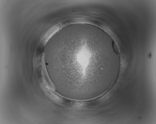 X0000116821385200912181357