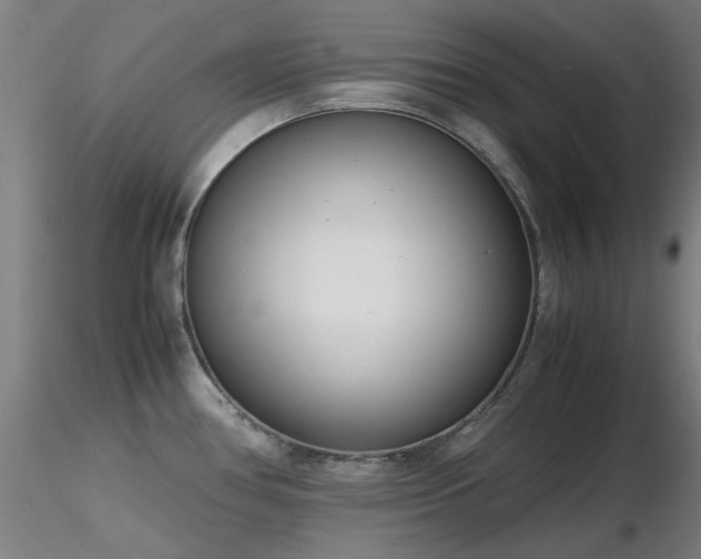 X0000116821386200912181357