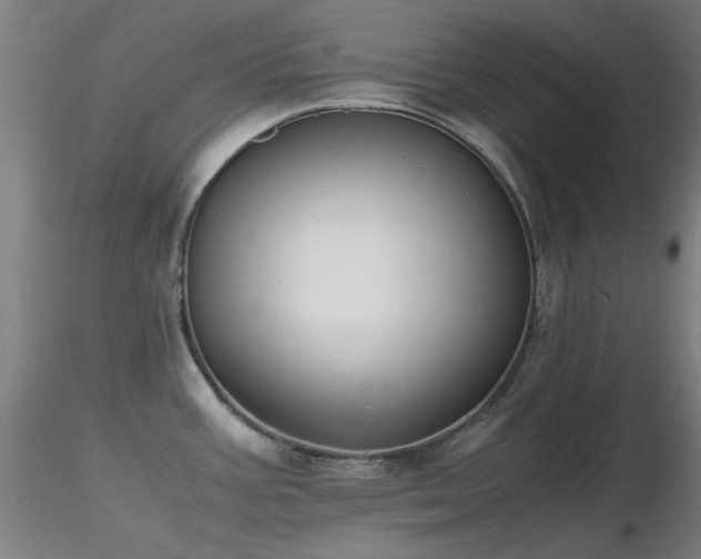 X0000116821387200912181357