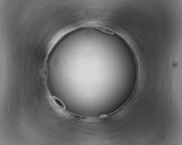 X0000116821392200912181357