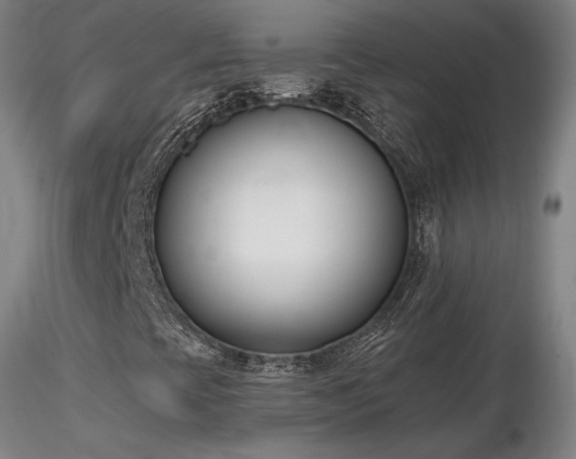 X0000116821393200912181357