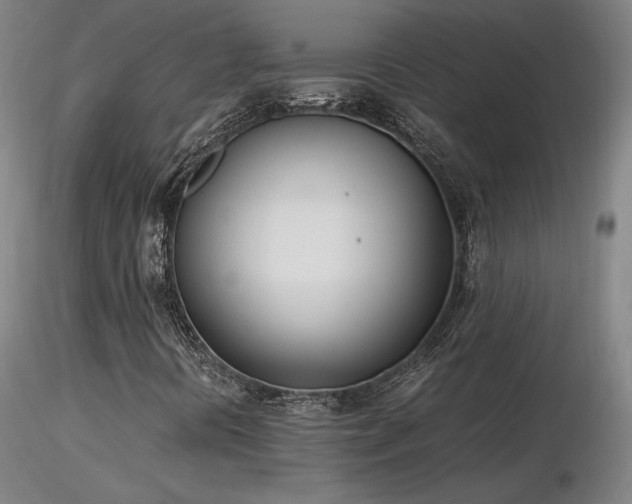 X0000116821394200912181357