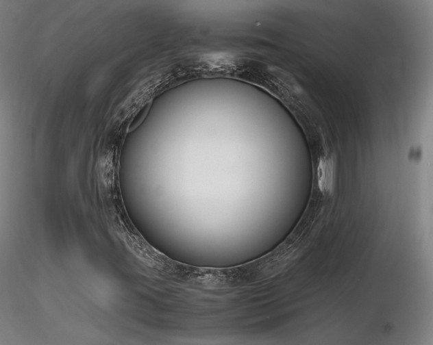 X0000116821395200912181357