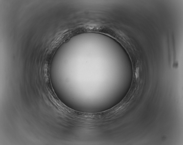 X0000116821396200912181357
