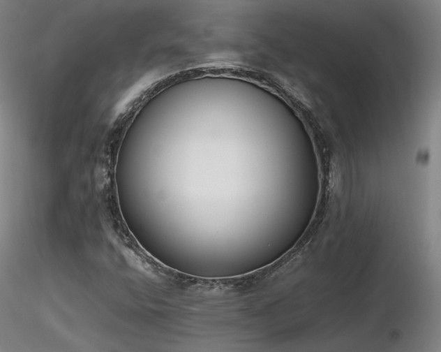 X0000116821400200912181357