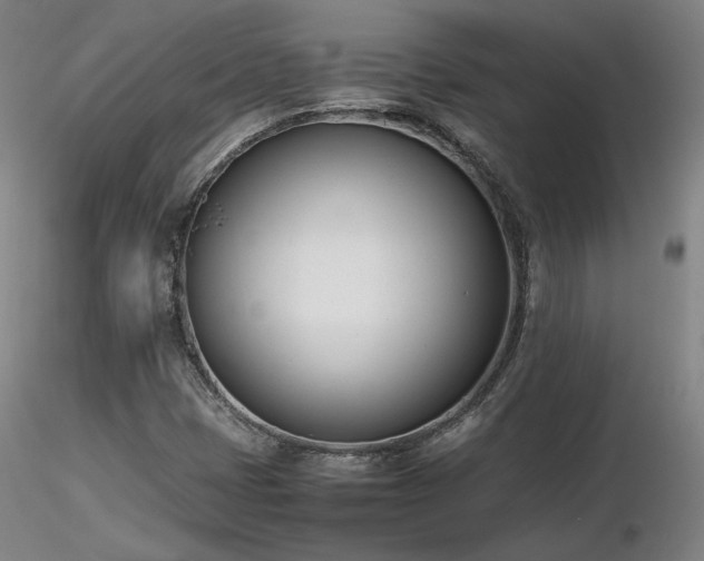 X0000116821401200912181357
