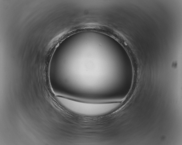 X0000116821403200912181357