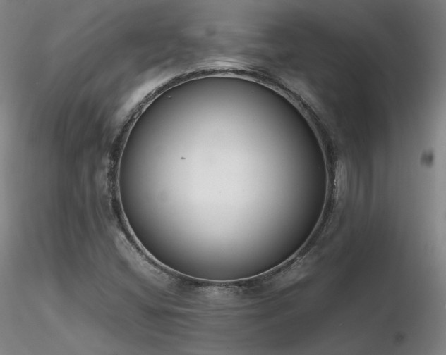 X0000116821404200912181357