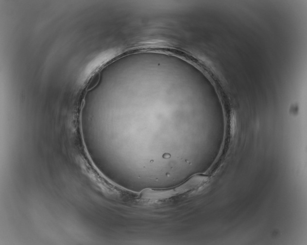 X0000116821405200912181357