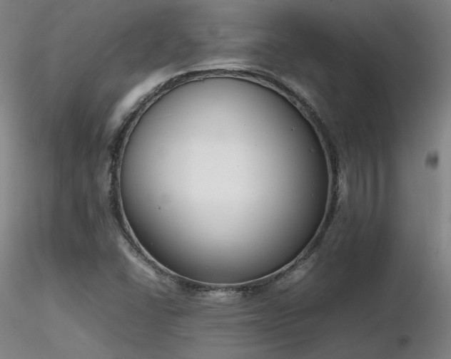 X0000116821406200912181357