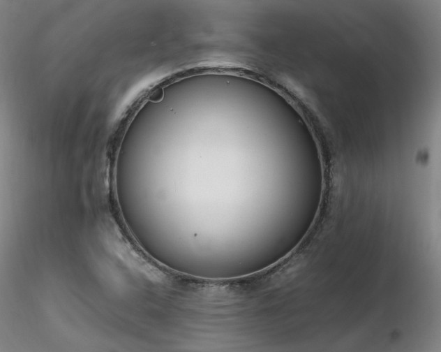 X0000116821408200912181357