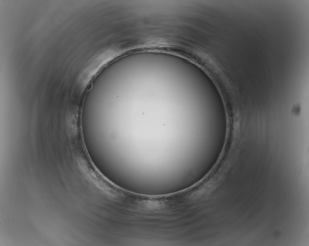 X0000116821409200912181357
