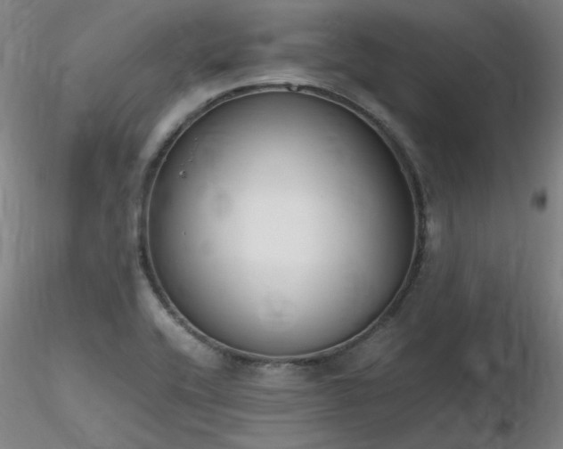 X0000116821416200912181357