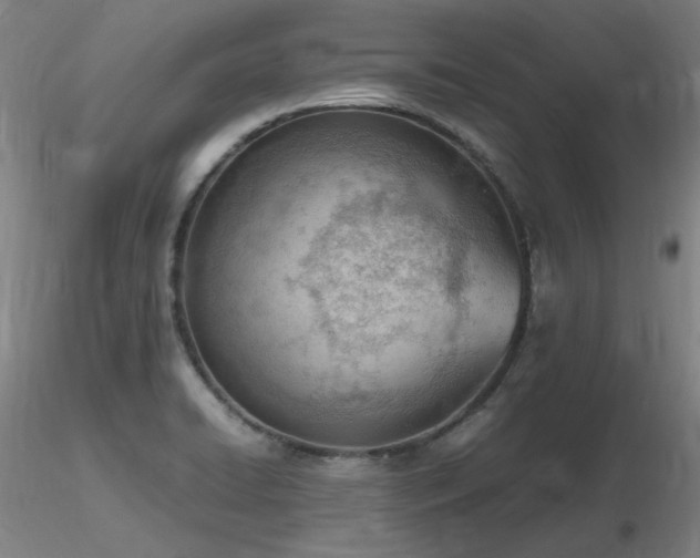 X0000116821422200912181357