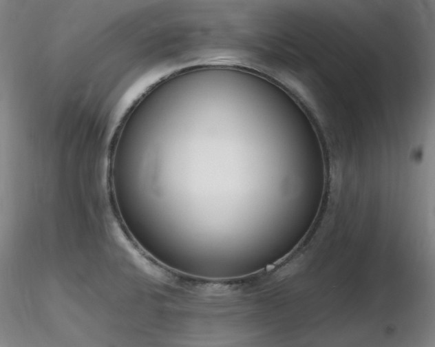 X0000116821424200912181357