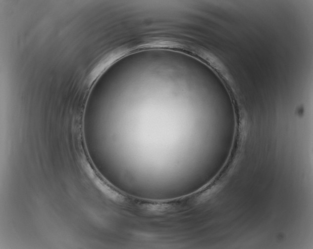 X0000116821425200912181357