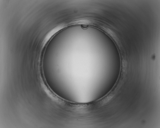 X0000116821426200912181357