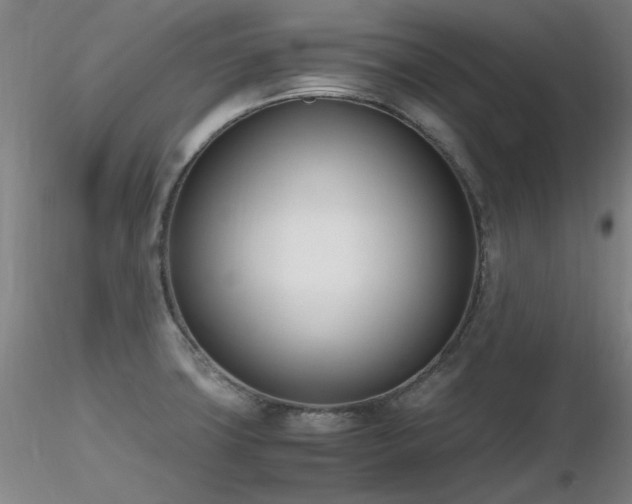 X0000116821427200912181357