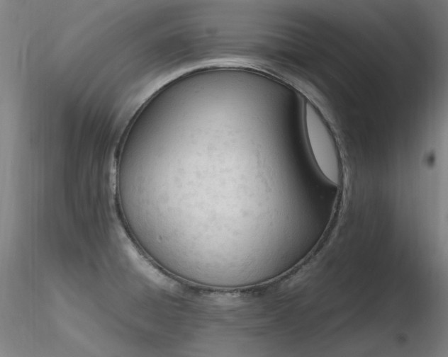 X0000116821428200912181357