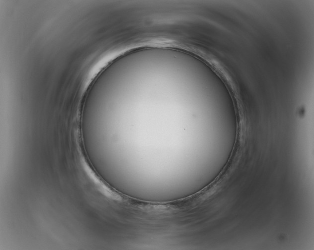 X0000116821432200912181357