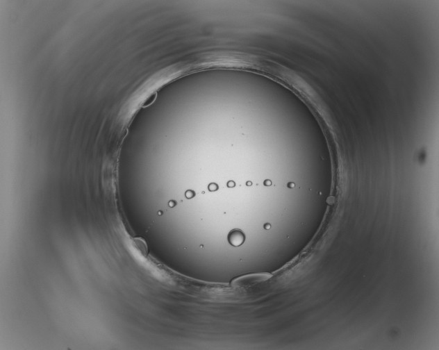 X0000116821433200912181357