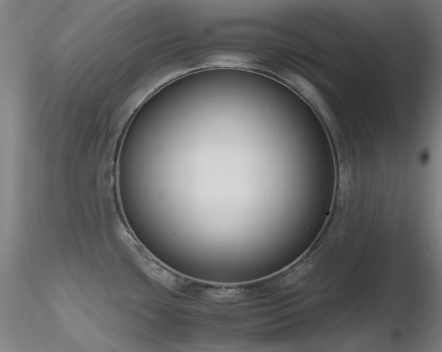 X0000116821435200912181357