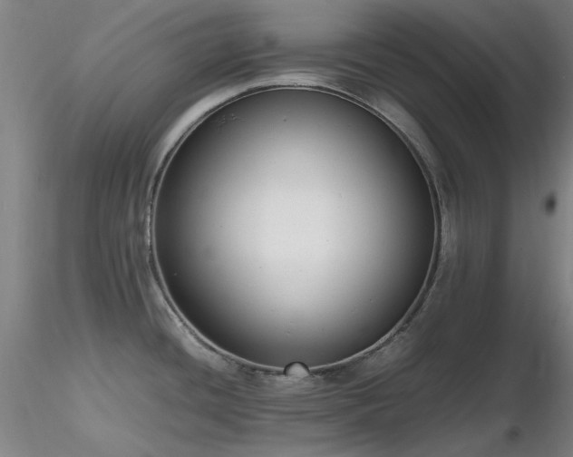 X0000116821436200912181357