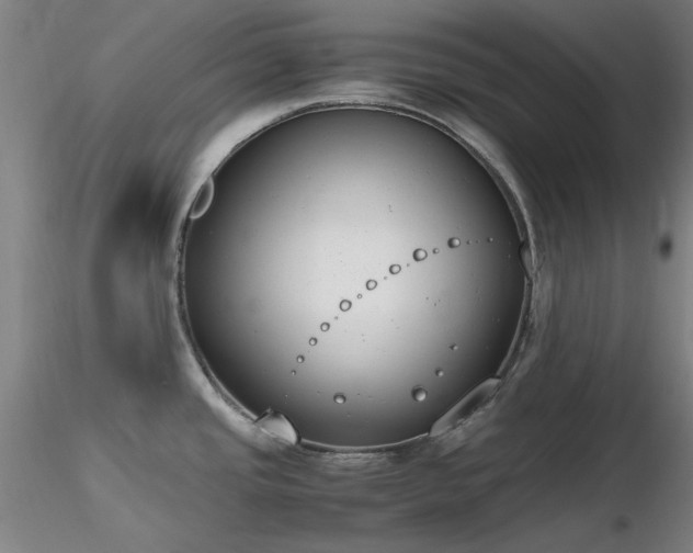 X0000116821437200912181357