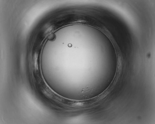 X0000116821439200912181357