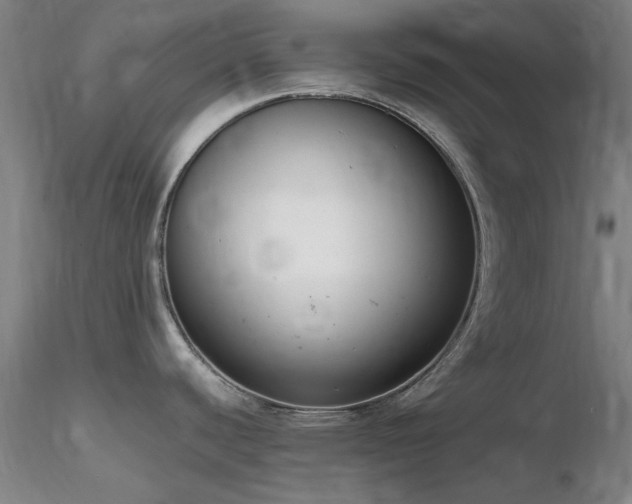 X0000116821440200912181357