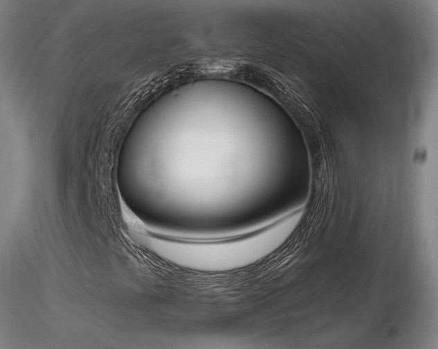 X0000116821441200912181357