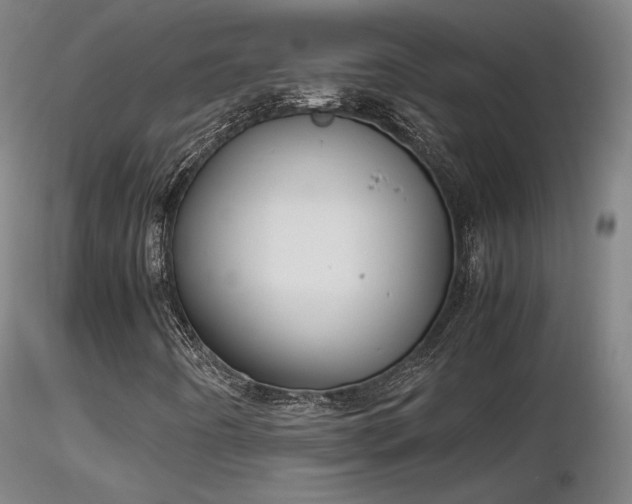 X0000116821442200912181357
