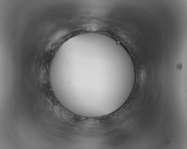 X0000116821446200912181357