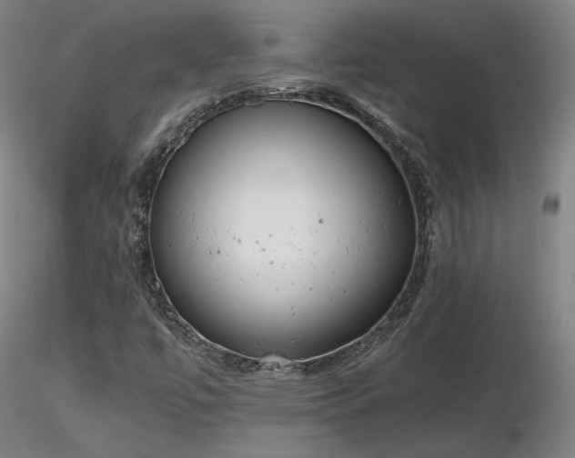 X0000116821447200912181357