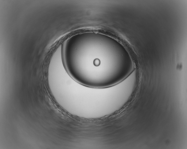 X0000116821448200912181357