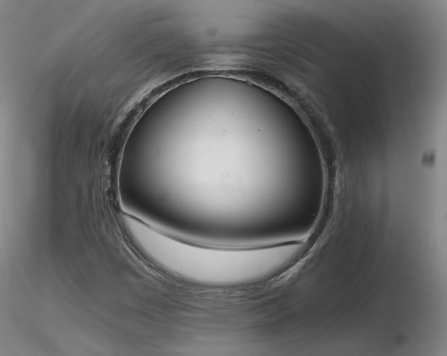 X0000116821449200912181356